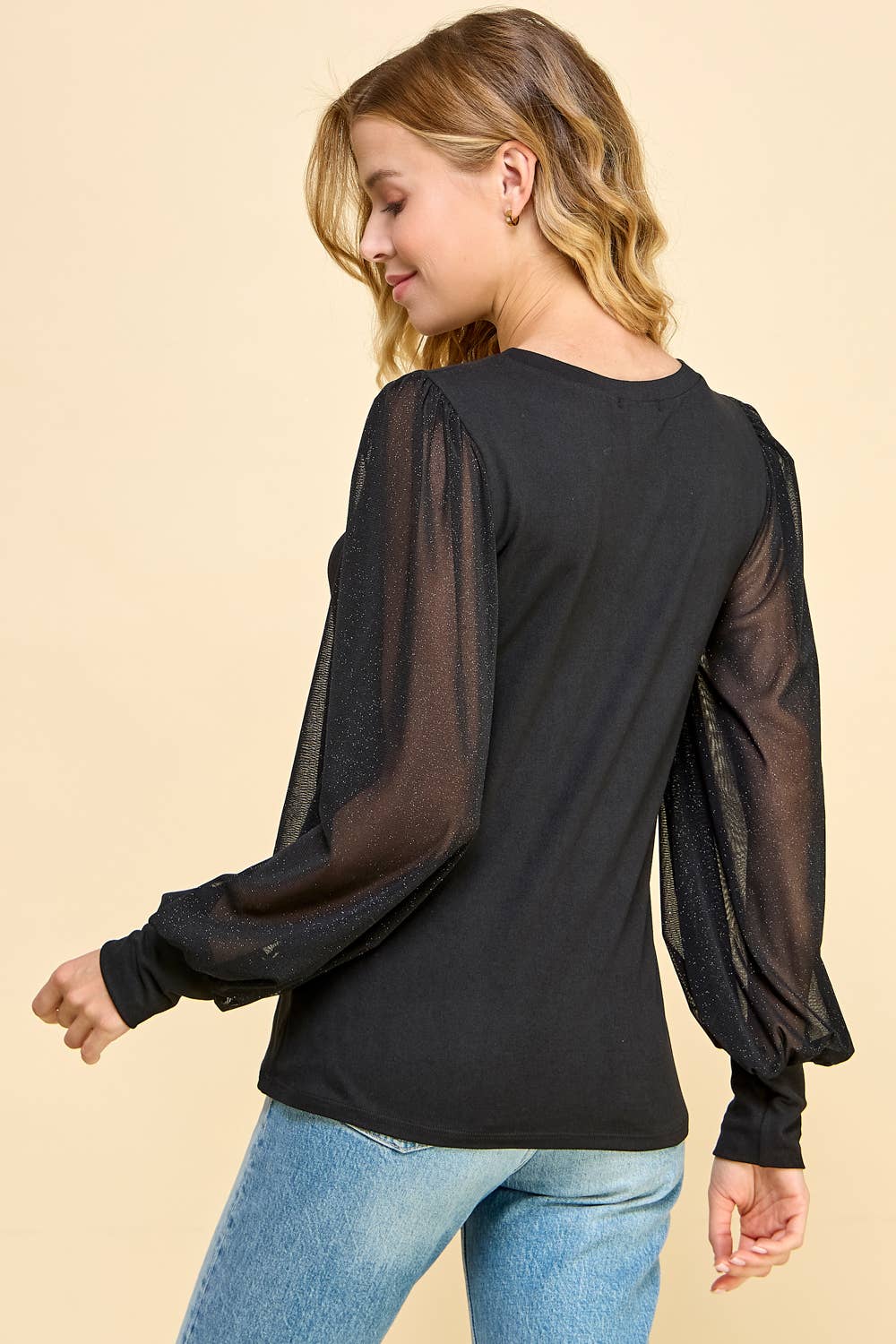 Solid Top with Sheer Shimmery Sleeves - NEW ARRIVAL