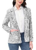 Sequin Multi-Color or Silver Sparkling Jacket | Charlotte's Classy Closet