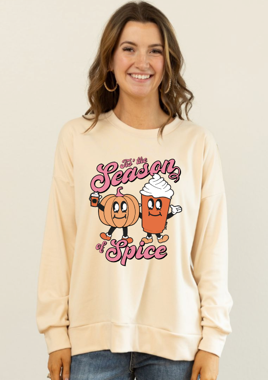 Tis the Season for Spice Fall / Christmas Crewneck Micro Fleece Top | Charlotte's Classy Closet