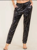 Black Fully Lined Straight Fit Sequin Pants